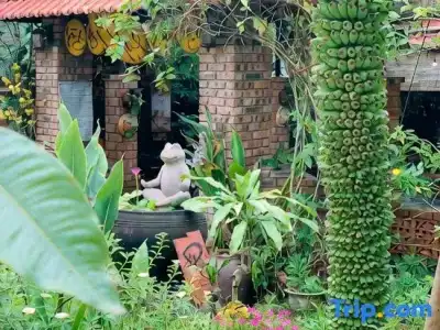 Hue Lotus Homestay - 83