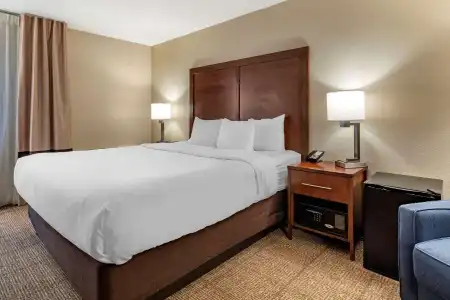 Comfort Inn & Suites Albuquerque Downtown - 40