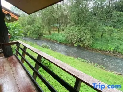 Khaosok Rainforest Resort - 81