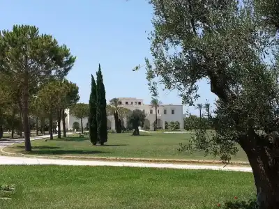 AmareGold Tenuta la Baronessa - 43