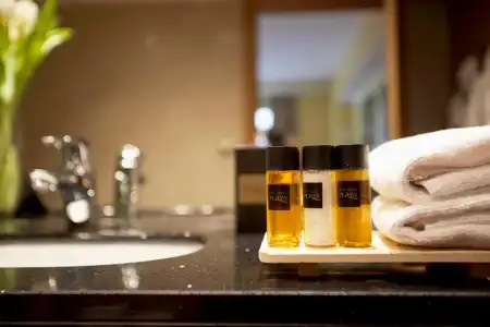 Ski Plaza & Wellness - 44