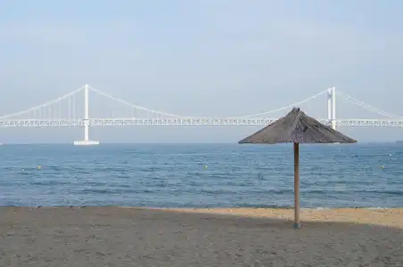Ocean the point - 18