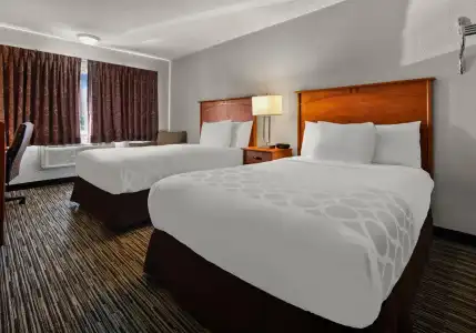 Hyatt Regency Rochester - 5
