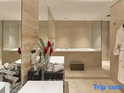 Pullman Singapore Orchard - 130