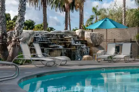 Paradise Point Resort & Spa - 13
