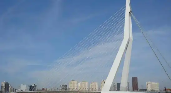 Mr.Lewis Rotterdam - 9
