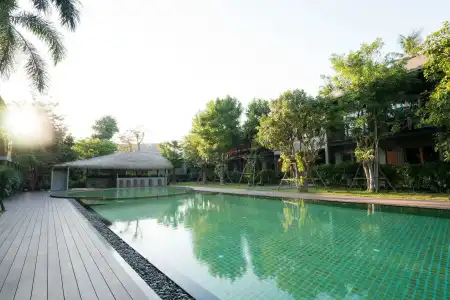 The Buffalo Amphawa (SHA Plus) - 10
