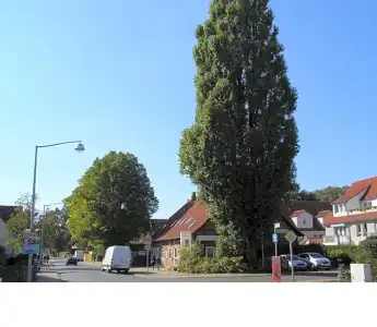Alt Vinnhorst - 13