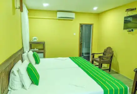 Golden Wild Yala - 113