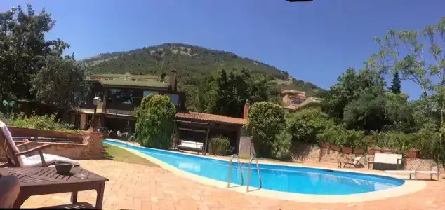 Small Paradise - 17