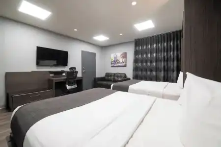 Hôtel & Suites le Dauphin Québec - 21
