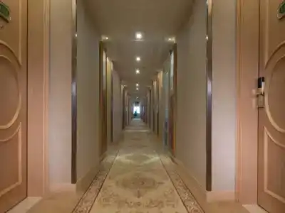 Vienna International Shenzhen Jingtian Banch - 8
