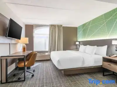 Comfort Inn & Suites Madison East Interstate I-90 - 49