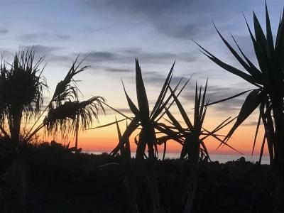 I Dammusini di Pantelleria - 111