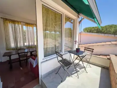 Azienda Agricola Sapereta - 30