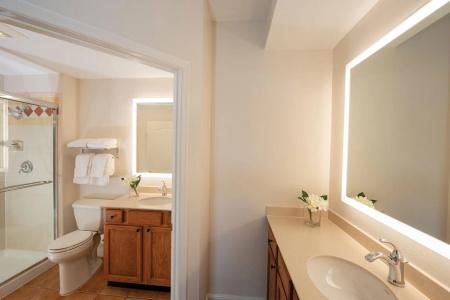 Sheraton Vistana Villages Resort Villas, I-Drive/Orlando - 33