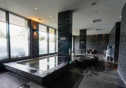 White Swan - 8