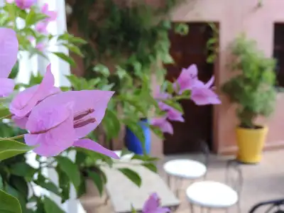 Riad Al Badia - 24