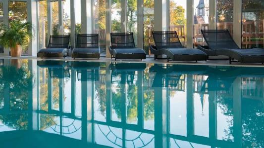 Das Palmenwald Schwarzwald, BW Signature Collection - 12