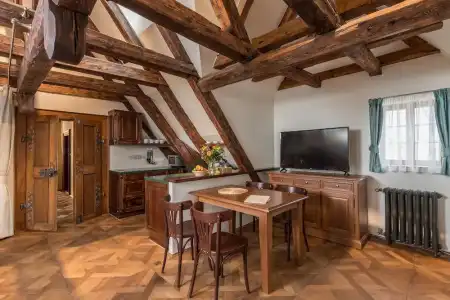 Residence U Mecenáše - 181