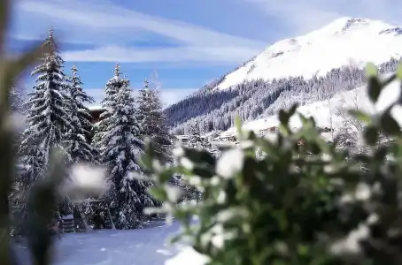 Der Berghof - 204