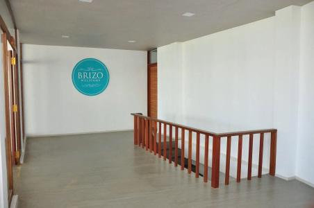 Brizo - 14