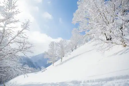 Mountainside Palace - 9