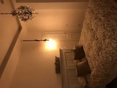 Edera e Camelie - 4