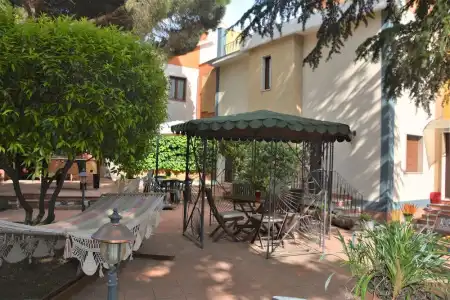 Betulla dell'Etna - 10