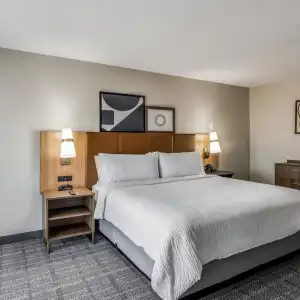 Ramada by Wyndham Dallas Love Field - 33