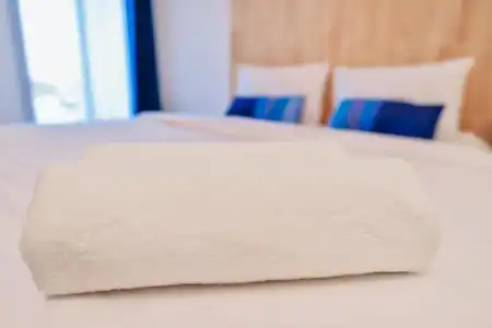 The Cozy - 2