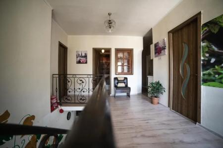 happy pandasN12 - 11