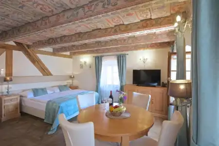 Residence U Mecenáše - 100
