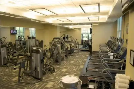 Jet Luxury Elite at the Signature - 33
