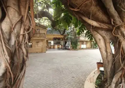 Beach Garden - 9
