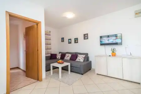 Apartments Vojin - 11
