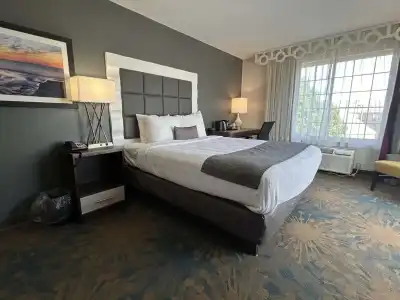 Best Western Erie Inn & Suites - 32