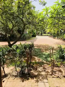 Lagoon Paradise - 15