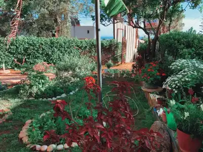 Villa Petro - 6