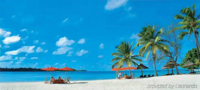 Constance Prince Maurice - 22