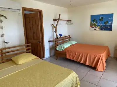 Corales Punta Rusia - 4