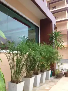 Perfect place - 14