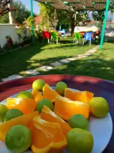 Paradise House - 12