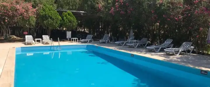 Tropicana - 15