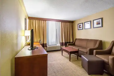 Comfort Inn Cleveland Downtown - 31