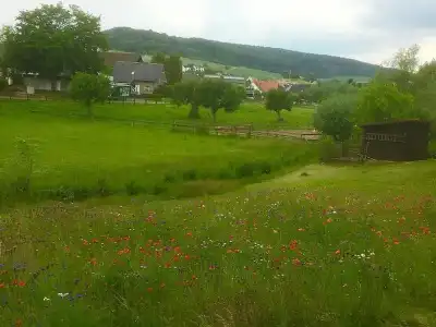 Höxter Am Jakobsweg - 16