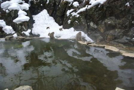 White Tree Lodge - 7