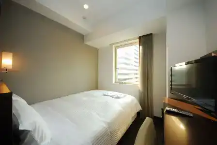 Sotetsu Fresa Inn Daimon - 3