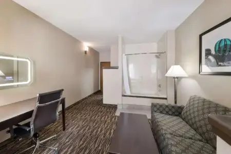 Comfort Suites Plano East - Richardson - 65