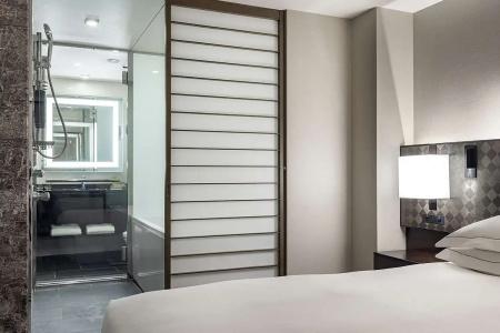 Hilton Tokyo - 48